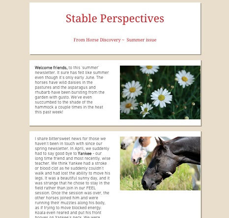 summer newsletter.jpg