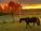 Fall Meditation with Horses