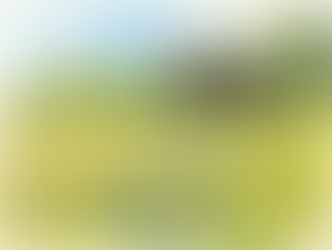 Black horse in field sketch