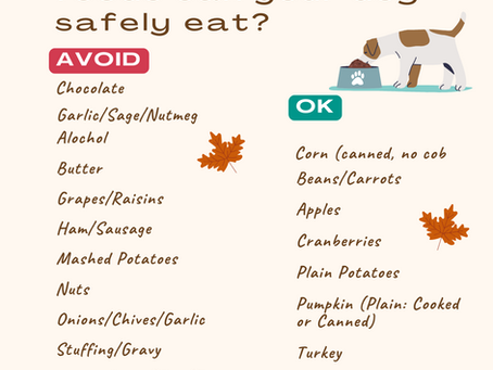 Keep your pup safe and happy this Thanksgiving with these helpful tips on what foods they can and can't have 