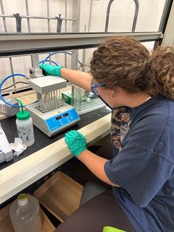 Solid Phase Extraction by Emma Foley