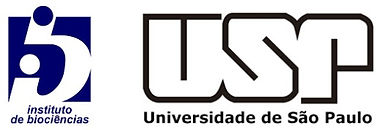 usp e ib.jpg