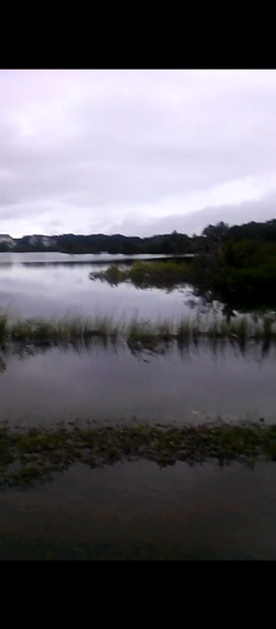 Screenshot_20220429-081217