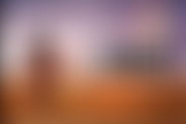 Unleashing Emotion: Barstool Confession's 'Tamed' Offers a Journey Through the Wilds of Human Feeling