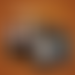 All Country News' Top 10 Country Albums Of 2025