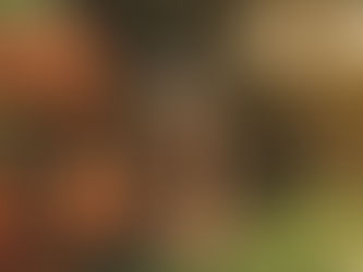 Jenny Tolman Finds Heart-Wrenching Honesty in “Maybe Next Month”