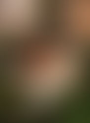 Ella Langley Plants Her Flag With Dandelion. A Bold, Unfiltered Statement From Country Music’s Fearless New Voice