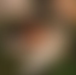 Ella Langley Plants Her Flag With Dandelion. A Bold, Unfiltered Statement From Country Music’s Fearless New Voice