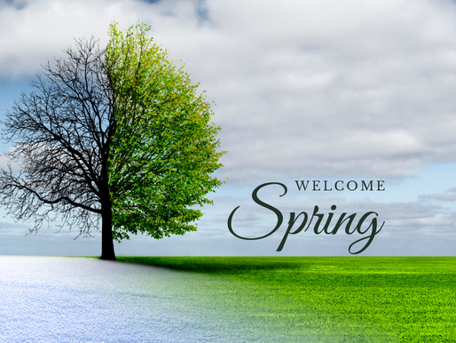 Where are we going this Spring?