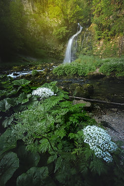 Waterfall_tour-min.jpg