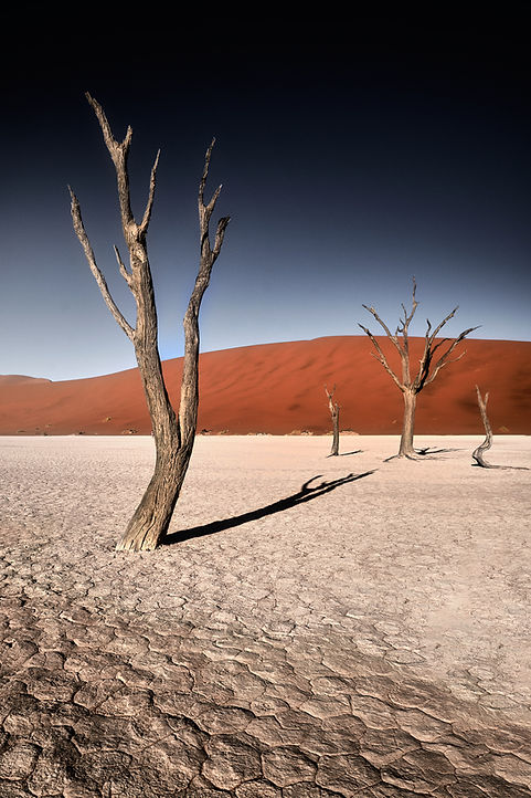 namibia photography workshop 2026