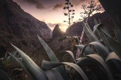 photo workshop in tenerife