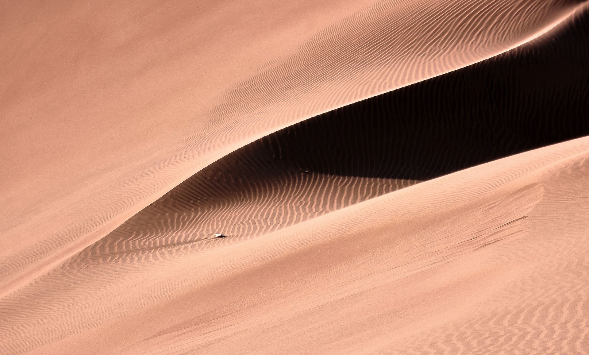 abstract picture in the desert