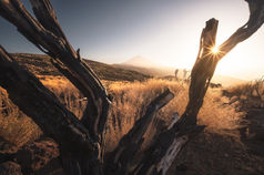 sunset over the teide national park during a landscape photography workshop