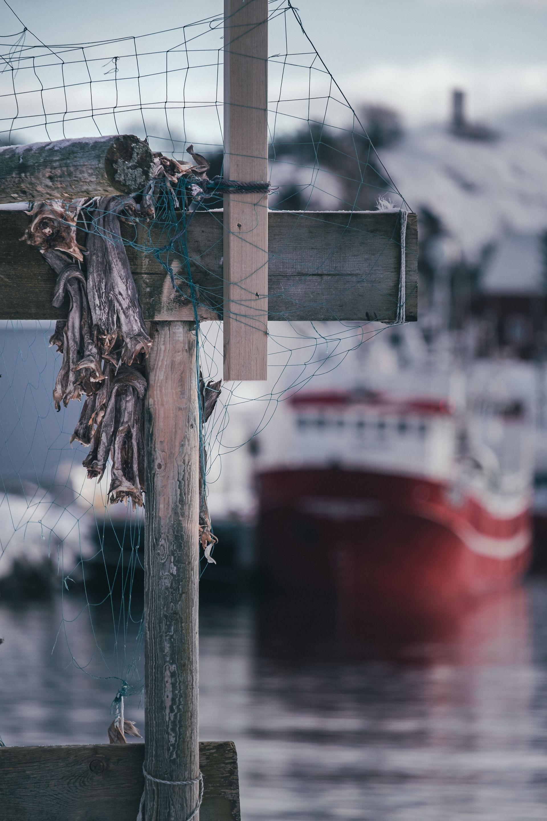 Fish drying on a rack in the lofoten islands