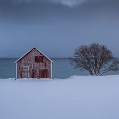 famous hut in senja island during winter