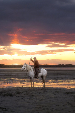 horse photography in france