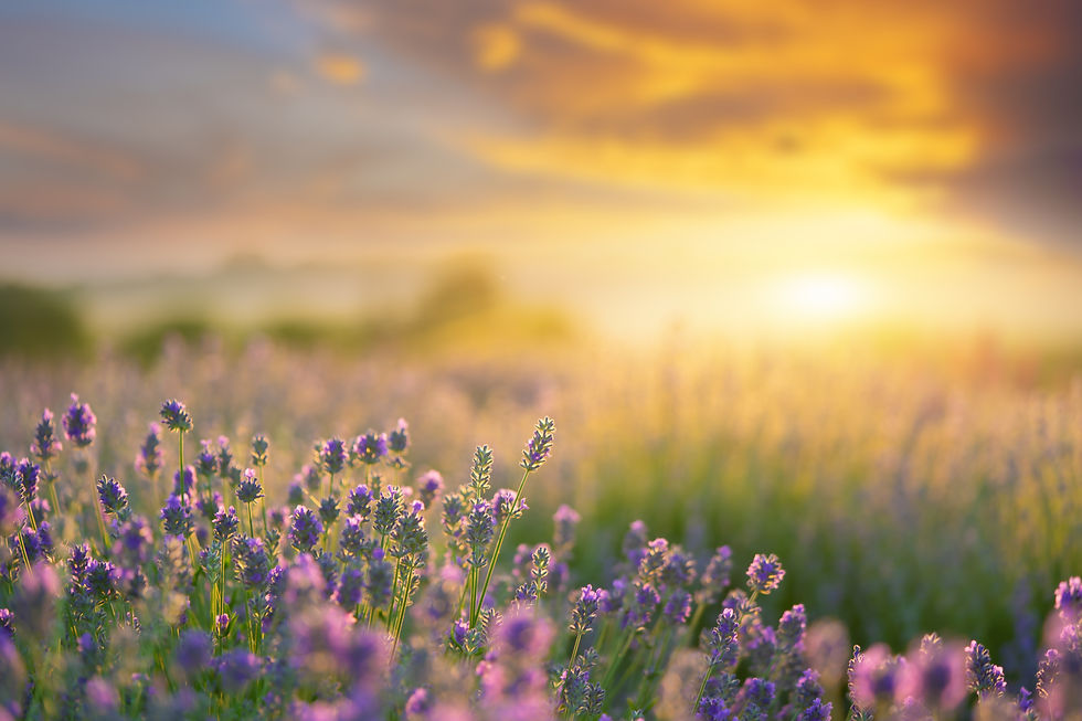 AdobeStock_561486404.jpeg