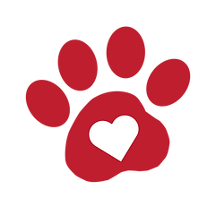 CARE Icon
