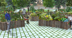 Urban Garden NW