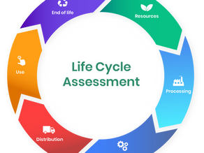 Circular Economy in the Construction Industry