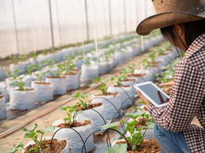 Farming Structures: Engineering the Future of Urban Agriculture