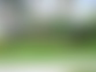 What is landscaping? How it proves beneficial to our properties?