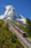 ree