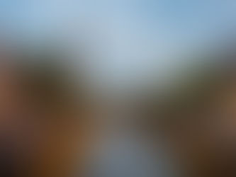 5 things you do not want to miss when visiting Amsterdam