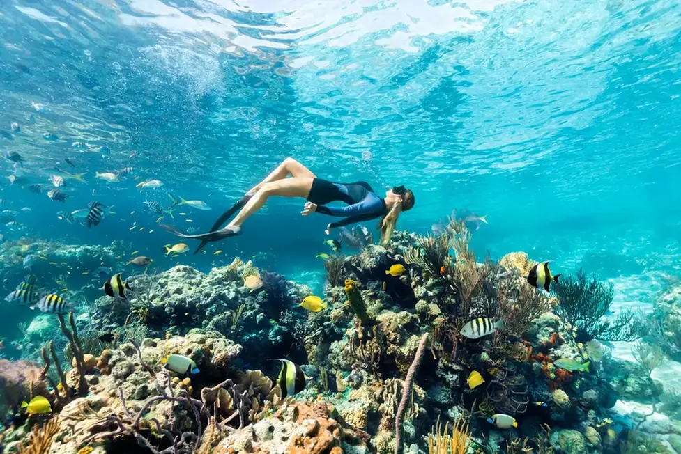 Scuba Diving in Harbour Island