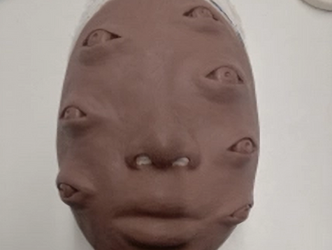 Creation Process