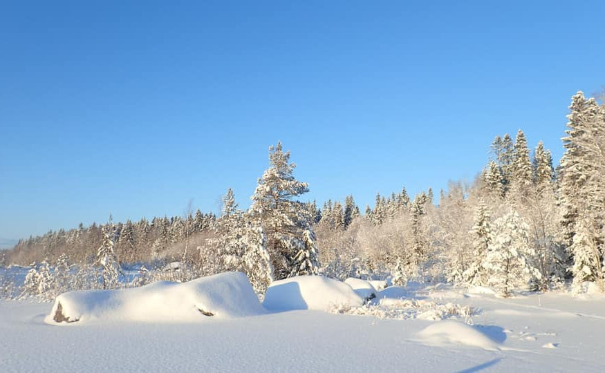 Molnträsk.jpg