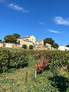 domaine.JPG
