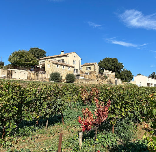 Vue du vignoble bio Le Mas des Terrasses à Sabran, producteur de Côtes du Rhône