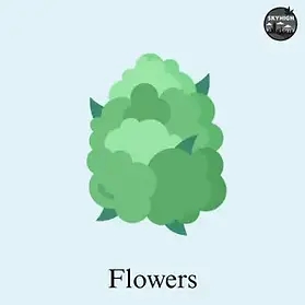 Cannabis Flower.webp
