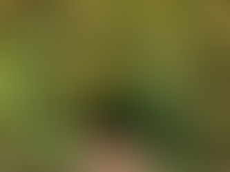 Write Good: Wander For Writing