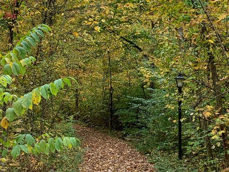 Write Good: Wander For Writing