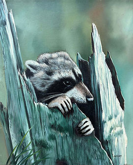RaccoonGettingEatenByALog_Before.jpg