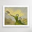 Thumbnail: Duck Hunter  - fine art print