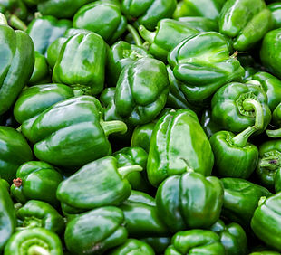 greenpepper.jpg