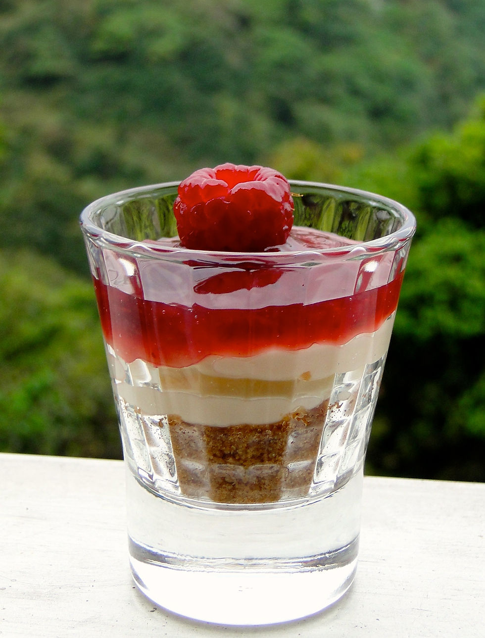 RASPBERRY CHEESECAKE