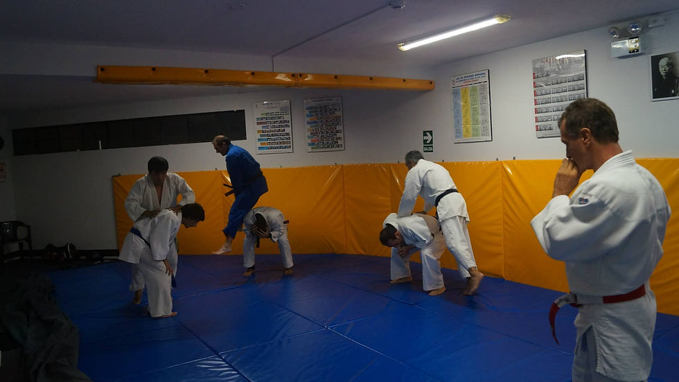JUDO 53.jpg