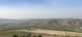 IMG_5005.jpeg