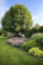 Gartenpflege und Konzept von Viktor Peppler in Meggen