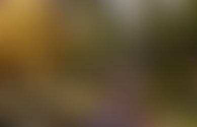 Dein Early Bird Spaziergang in Fieberbrunn - Der perfekte Start in den Urlaubstag.