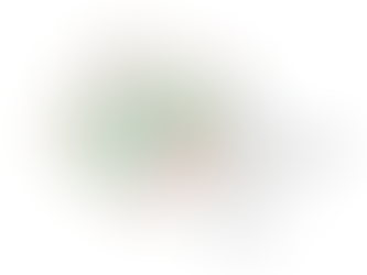 A network with node attributes displayed