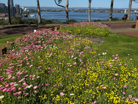 September Newsletter: Welcoming Spring 2024
