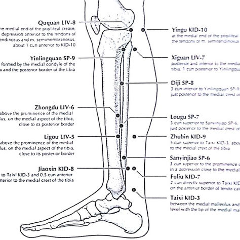 טיפול בכאב בעזרת רפואה סינית- רצועות וגידים