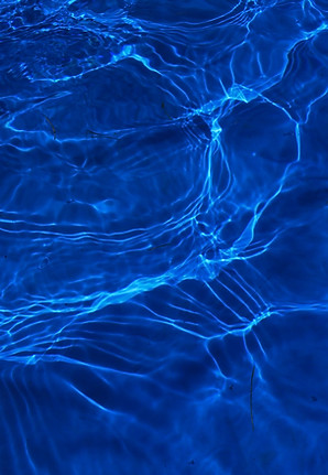 Reflected sunlight in my dog's pool_edit