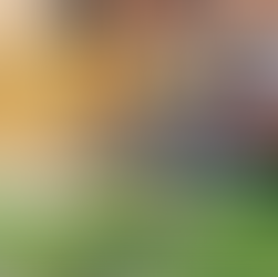 Contemporary terrace and rill